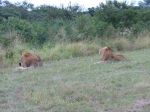 safrica05_image34.jpg
